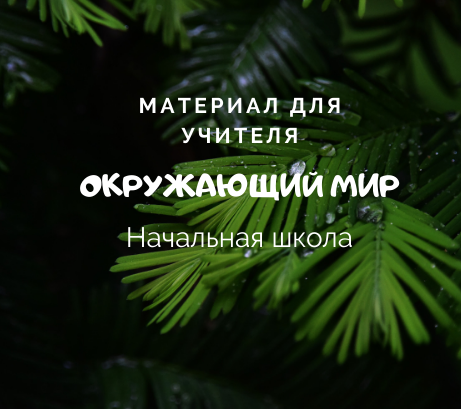 Обложка публикации «кроссворд "Азбука родной природы"»