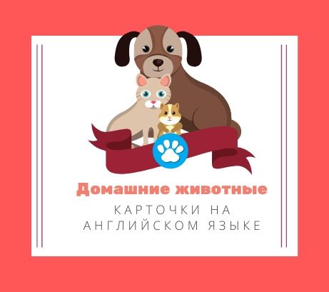 Обложка публикации «Карточки по теме "Животные"»