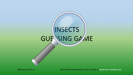 Обложка публикации «Insects Guessing Game»