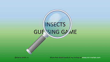 Insects Guessing Game