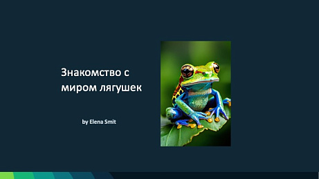 Обложка публикации «Презентация Знакомство с миром лягушек»