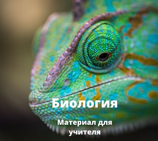 Полевая учебно-исследовательская практика в арктическом регионе: новый формат работы с одарёнными учащимися (на примере природных объектов Мурманской области)»