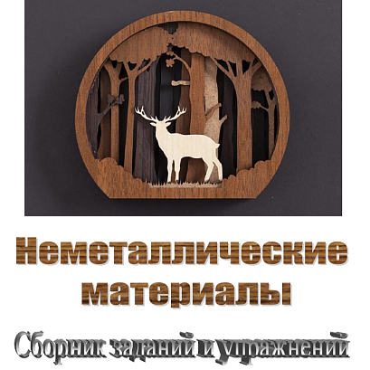 Обложка публикации «Неметаллические материалы. Сборник заданий и упражнений»