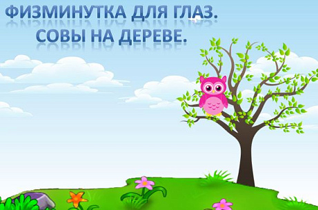 Обложка публикации «Физминутка для глаз. Совы»