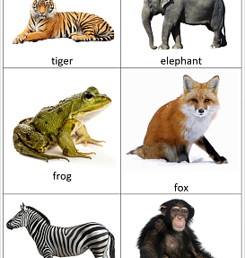 Animals Vocabulary Flashcards – 4 Sets (A1)